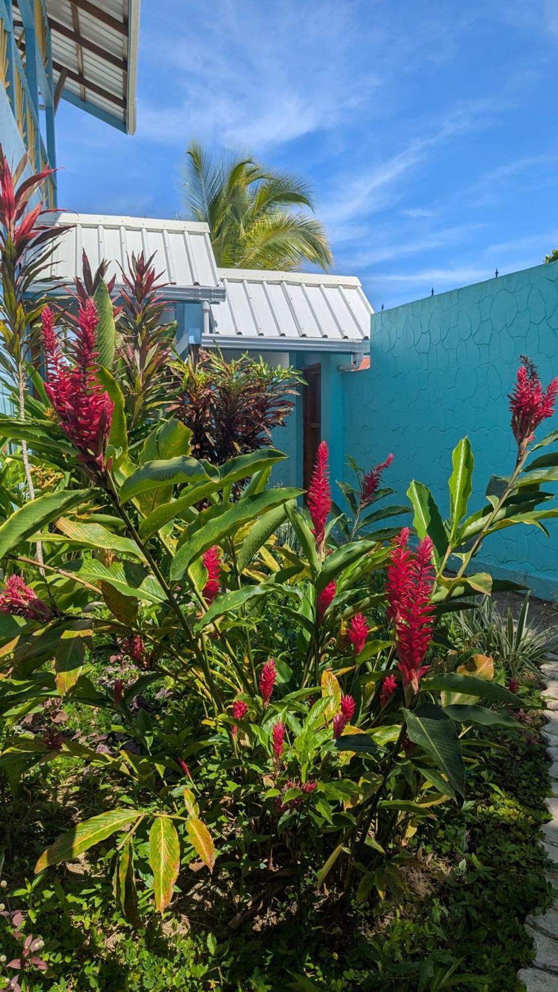 Hotel Pachamama Bay Club Bocas del Toro Zewnętrze zdjęcie